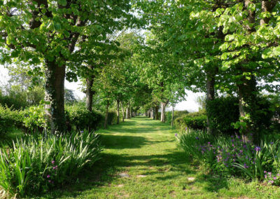 L'allée des arbres