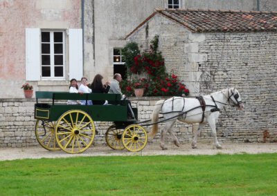 promenade en caleche lors d'un evenement